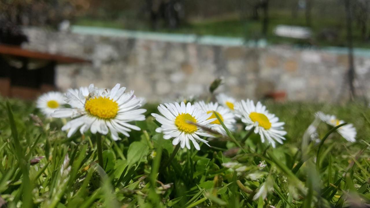 Bed & Breakfast Casa Lisetta Valtopina Buitenkant foto