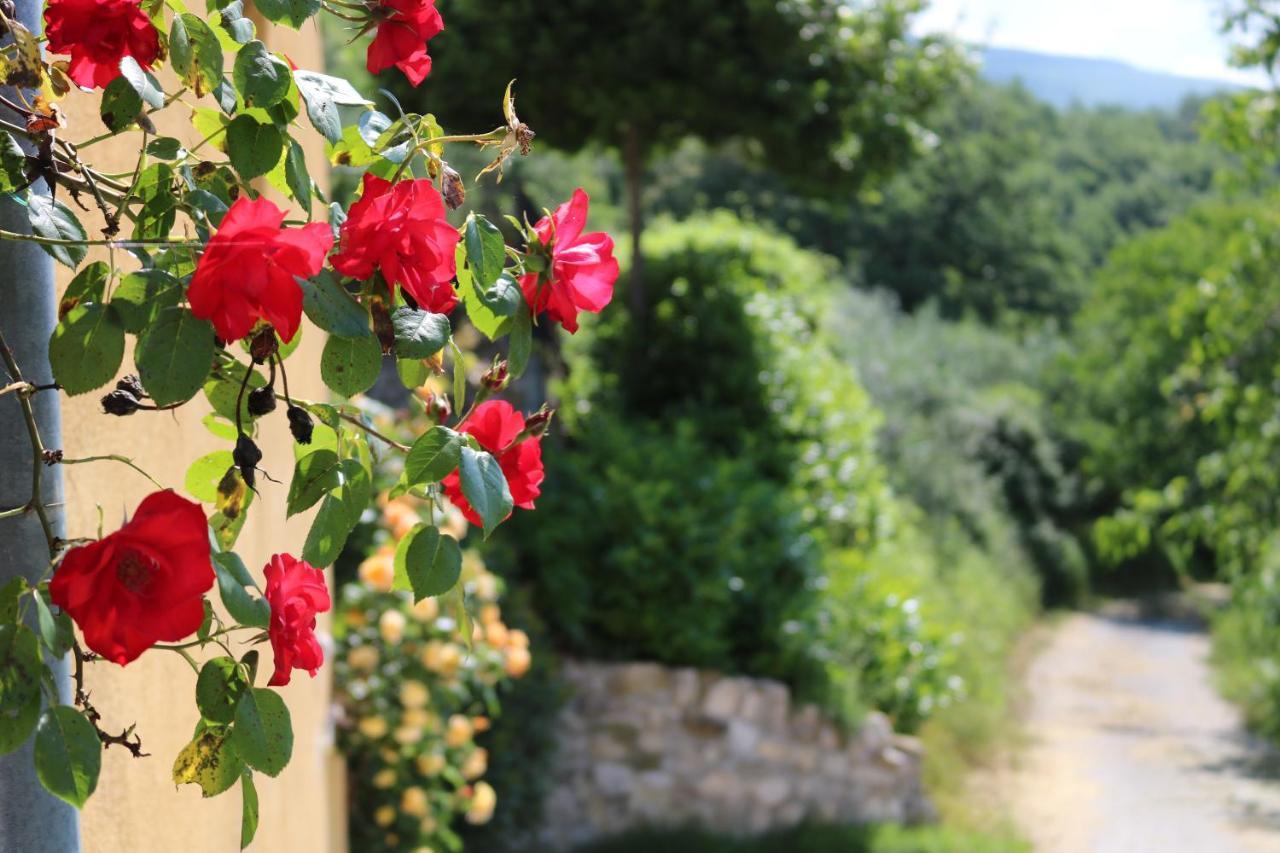 Bed & Breakfast Casa Lisetta Valtopina Buitenkant foto