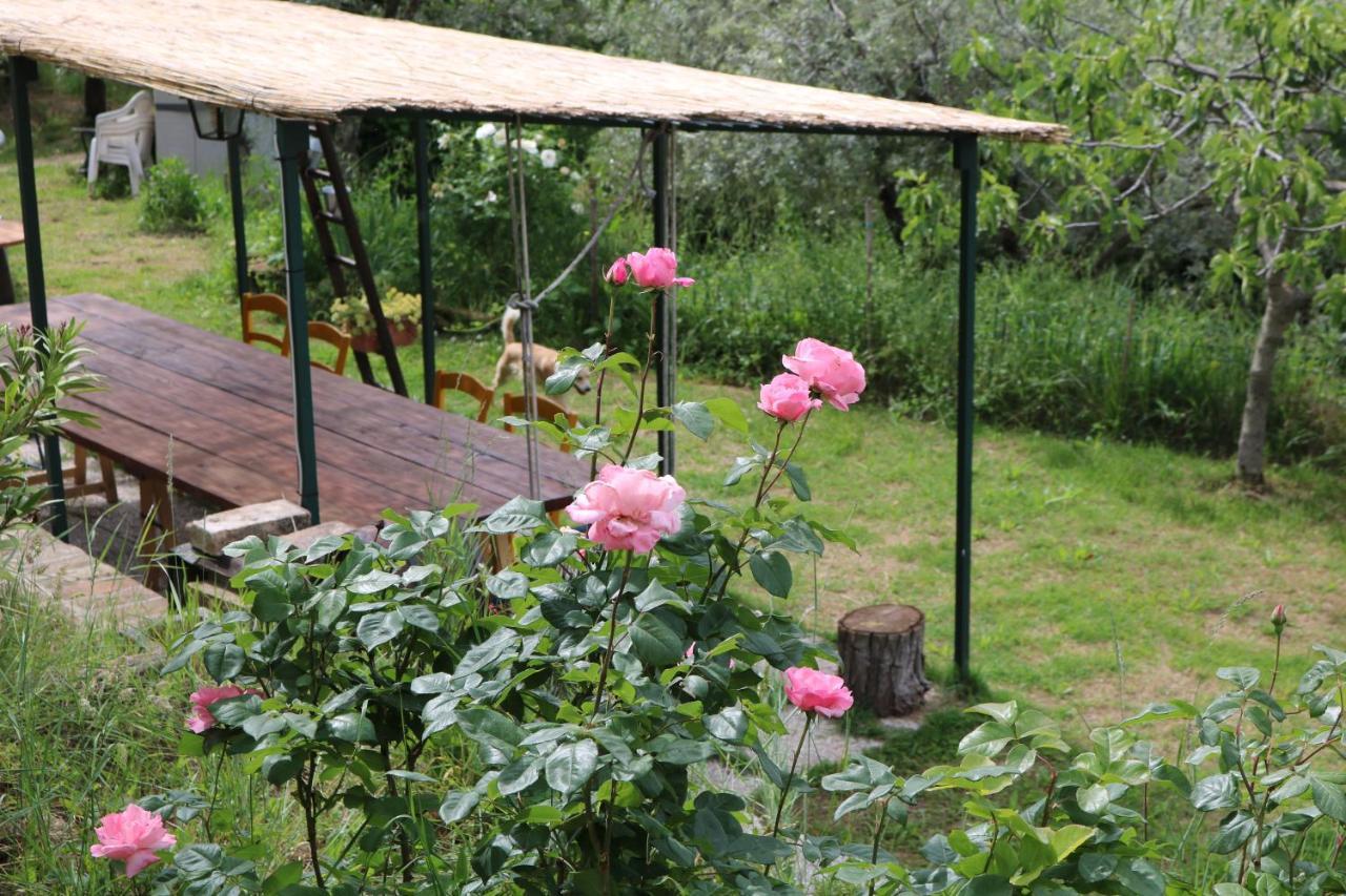 Bed & Breakfast Casa Lisetta Valtopina Buitenkant foto